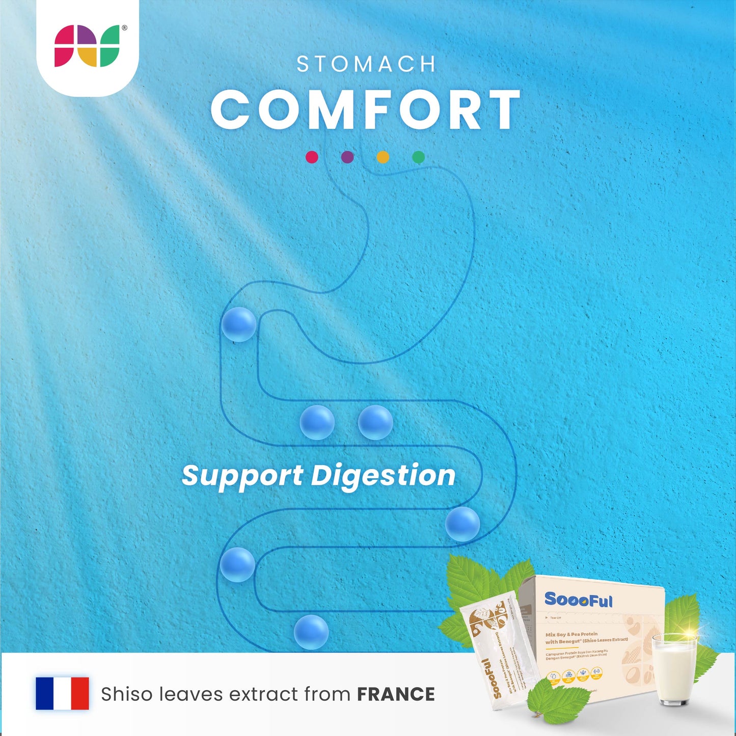 SoooFul Stomach Comfort Meal Replacement: Mix Soy & Pea Protein with Benegut® (15's)